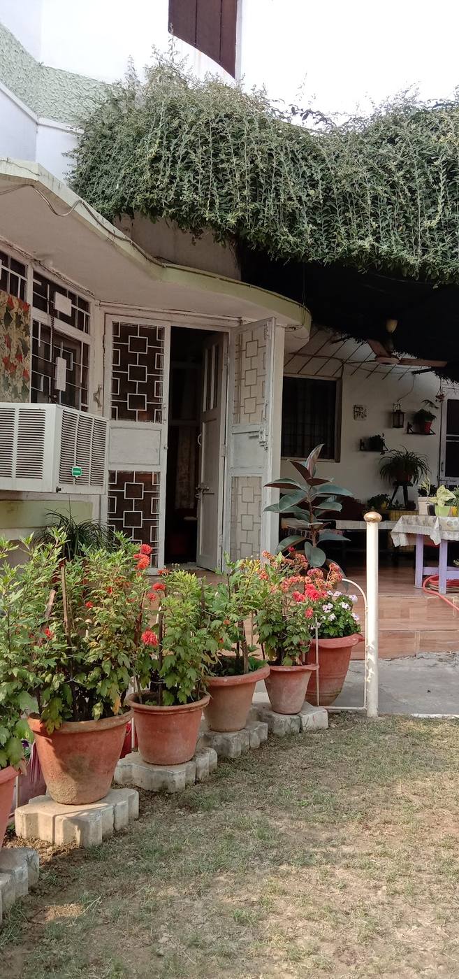 The entrance, with potted plants along the path