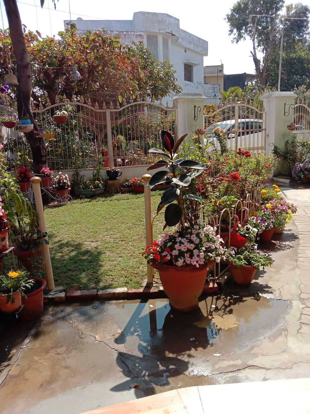 Flower pots and the lawn by the front gate