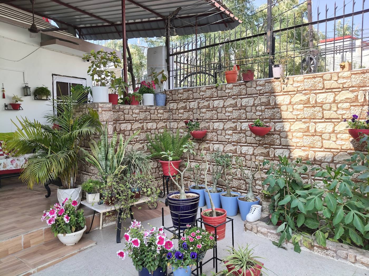 A terrace with a stone wall and rows of potted plants